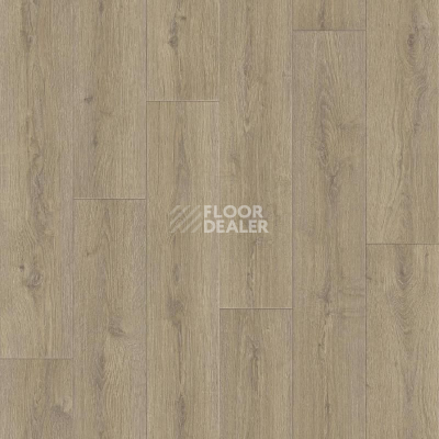 Линолеум Tarkett Praktika BRUNO_1 фото 1 | FLOORDEALER